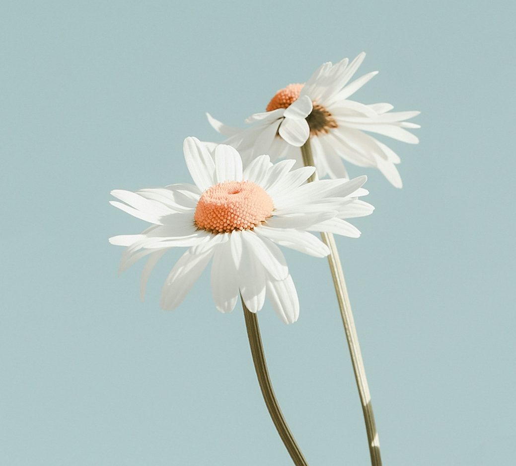 Coaching für Kinder, Jugendliche & Erwachsene (IPE & AMR®)
RIT® Reflexintegration in Rudersberg im Rems-Murr-Kreis